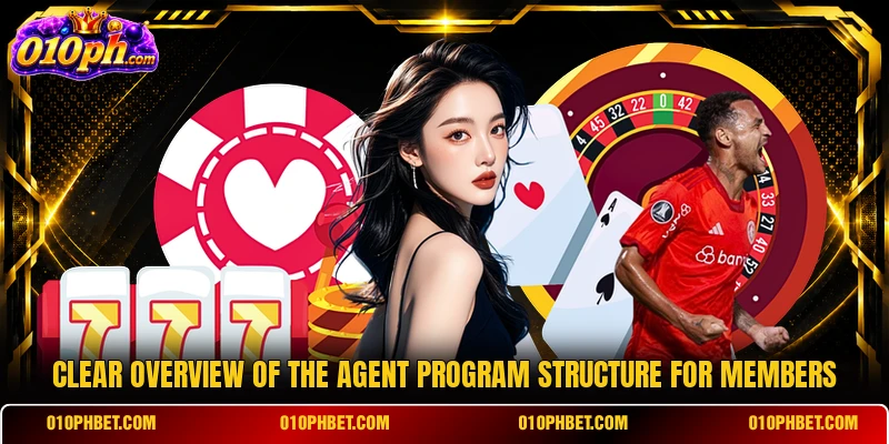 Clear overview of the agent program structure for members
