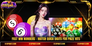 Fast Win Numbers - Match Quick Digits For Prize Hits